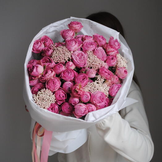 Rosa 23