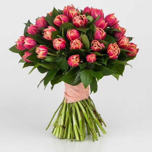 Peoniowe Rożowe Tulipany