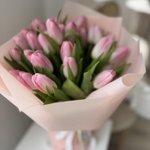 Pink colour tulips
