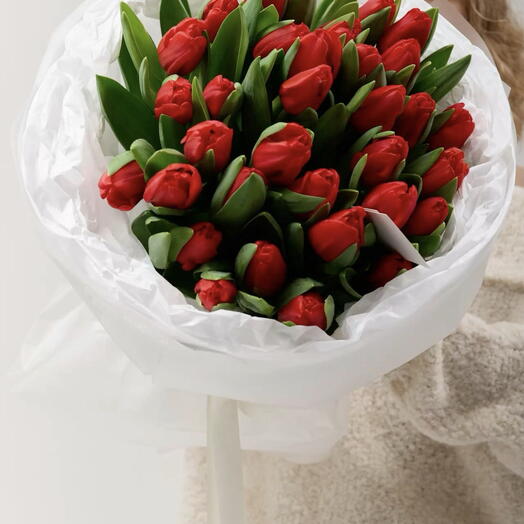 35 Red Tulips