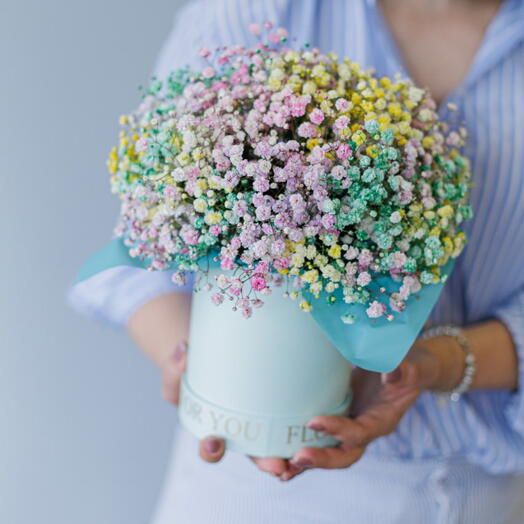 Кольорова гіпсофіла у коробці