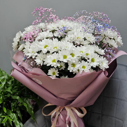 Ромашковый луг