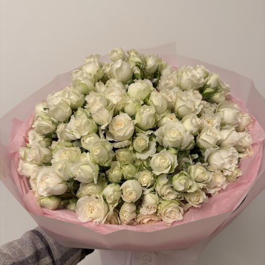 Princess fairy white