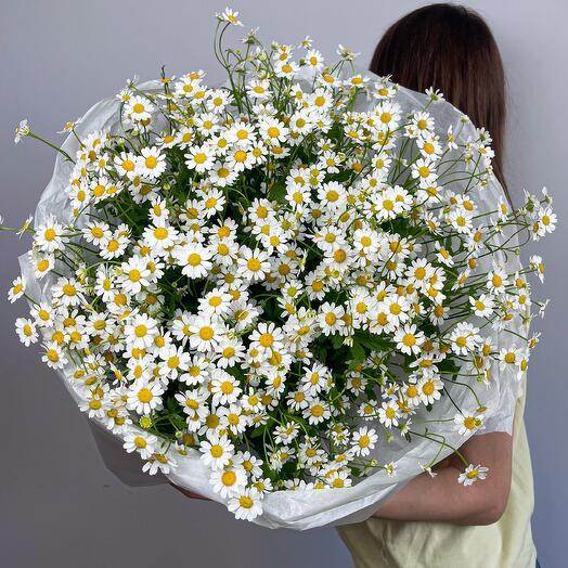 A large bouquet of daisies