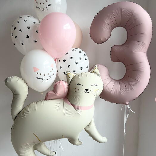 Комплект с коте