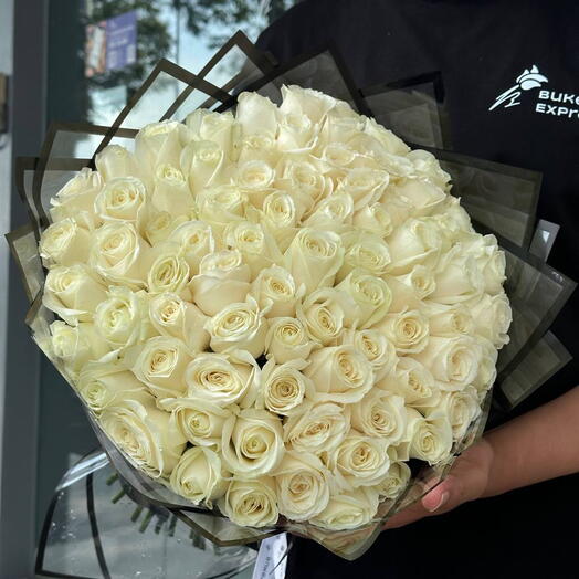 75 White Semiholand roses