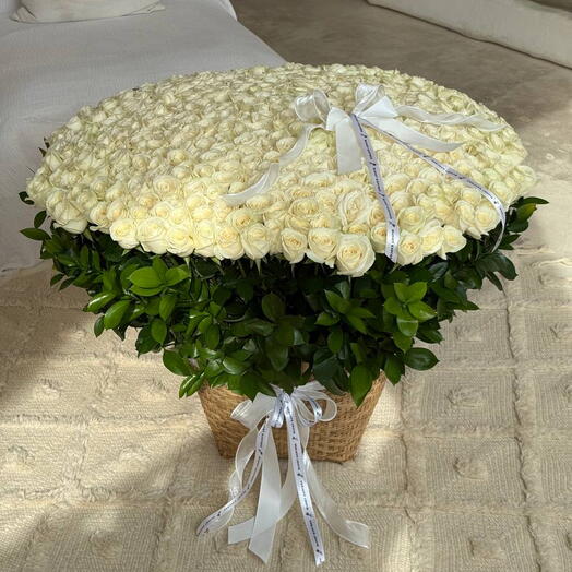 Basket 401 White Semiholand roses