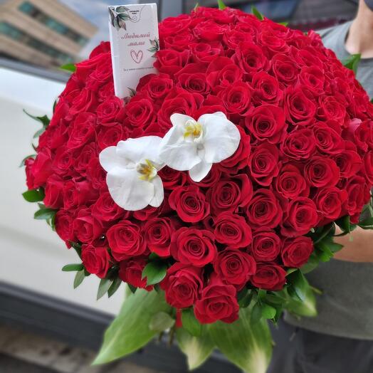 101 красная роза