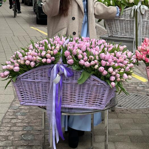 500 tulips in a Basket