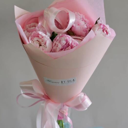 Pink Peonies, 5 pcs