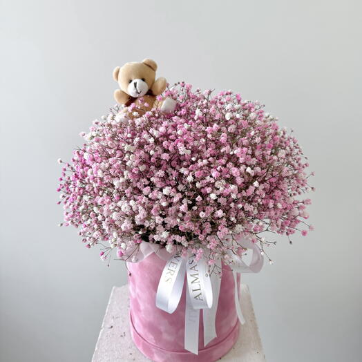 Pink gypsophila in a box with Teddy bear