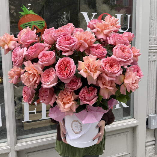 Коробка лепестков страсти (французские розы Hermosa, розовые садовые розы сорта Expression)