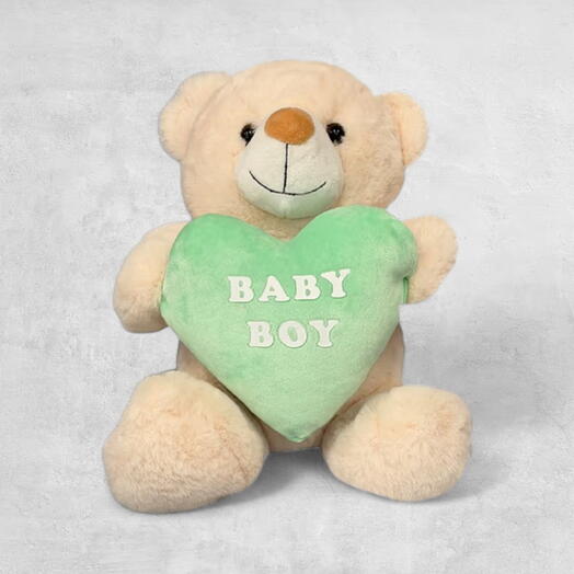 Baby Boy Teddy 🆕
