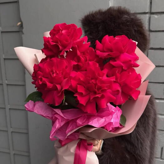 French Roses in Fuchsia