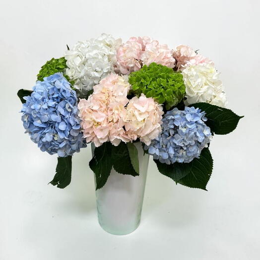 Bouquet of hydrangea
