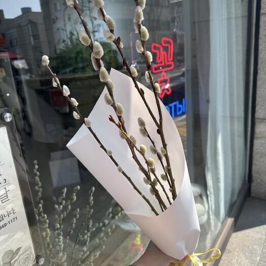 Pussy willow bouquet