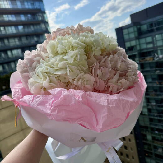 Rose   Ivory Hydrangeas
