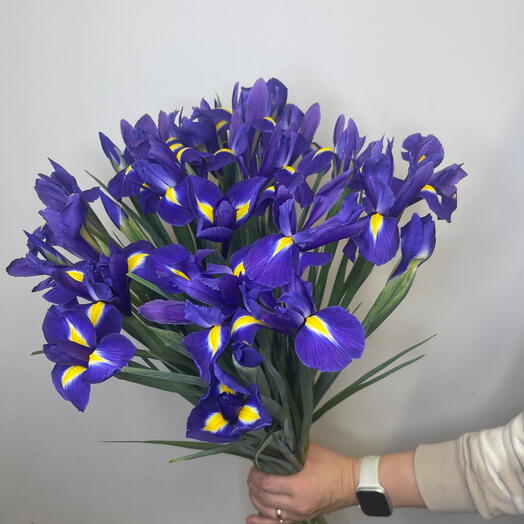 Iris flower bouquet31