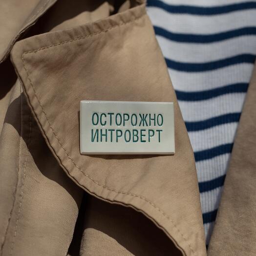 Ceramic brooch "Ostorozno introvert"