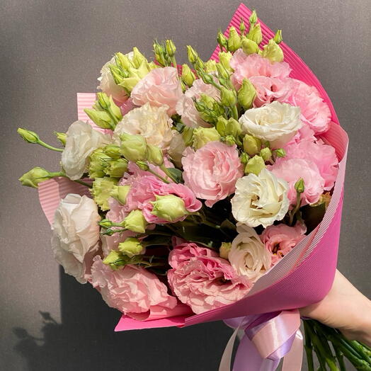 1013 «Puszysty roż»