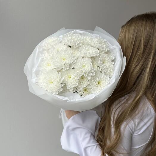 Хризантема Алтай