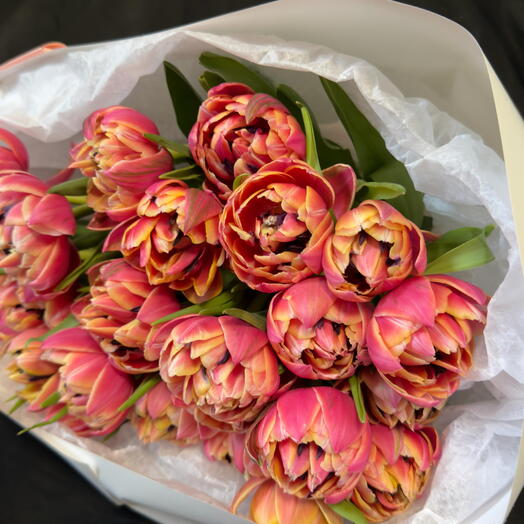 Peony-shaped tulips 30