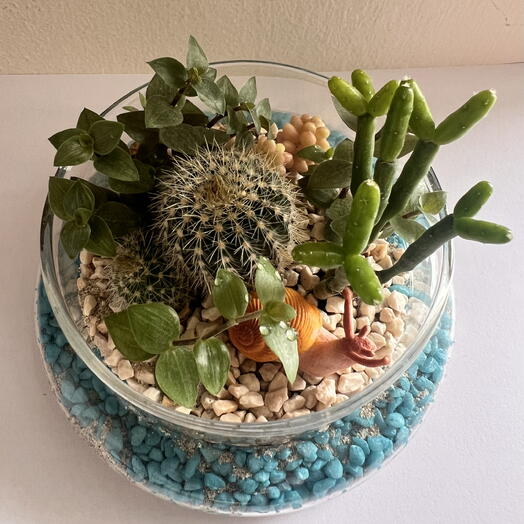 Florarium in a flask S size