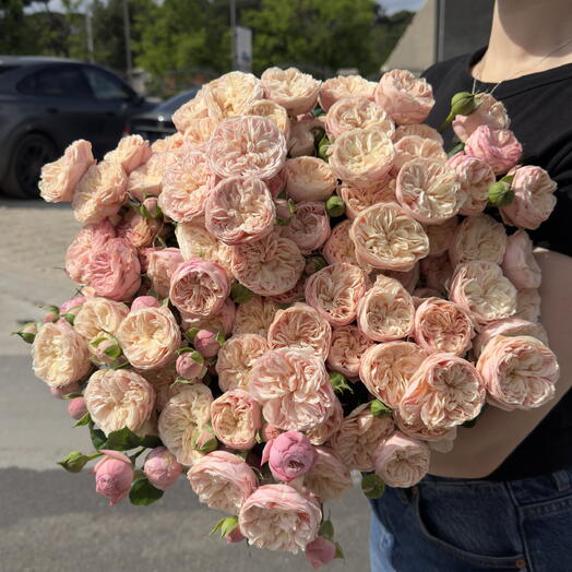 25 Blush garden spray roses