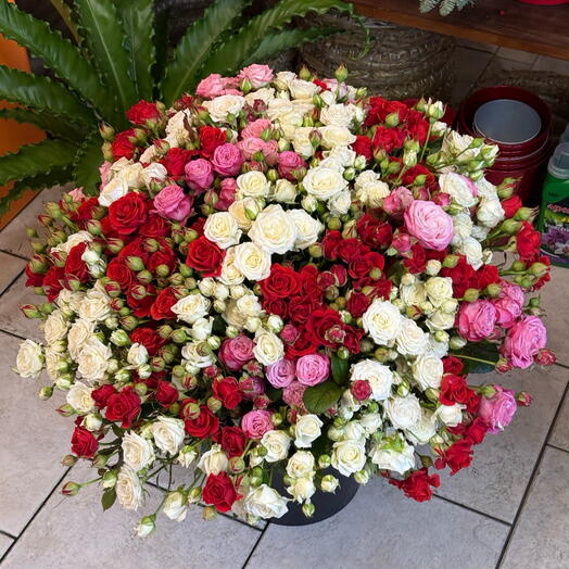 Bouquet 51 Spray Rose