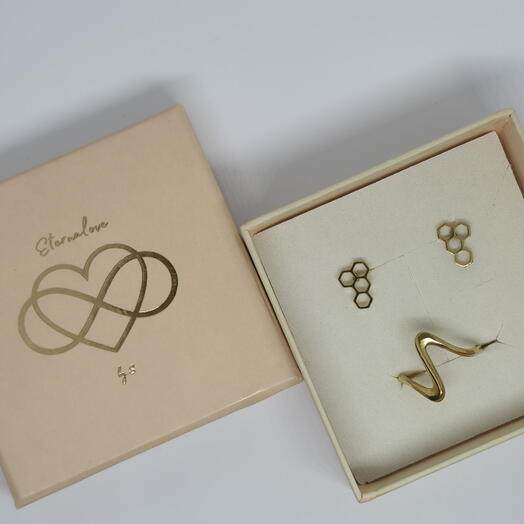 Golden Geometry Flow Set