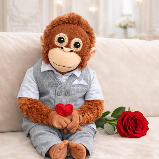 Səni bütün qəlbimlə sevirəm