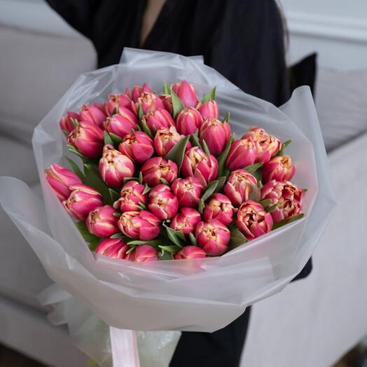 Моно букет 35 тюльпанов сорта Эксплорер