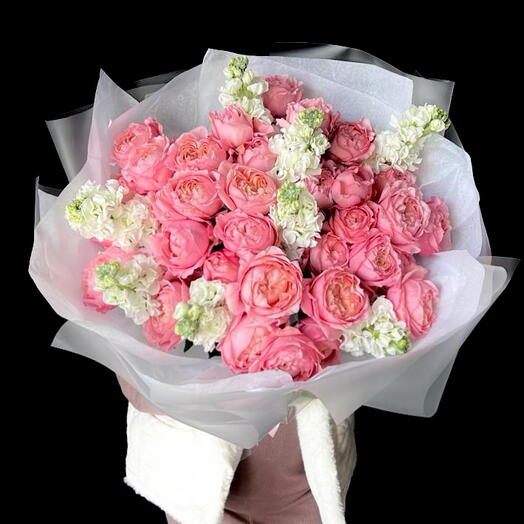 Duo Juliette and Matthiola