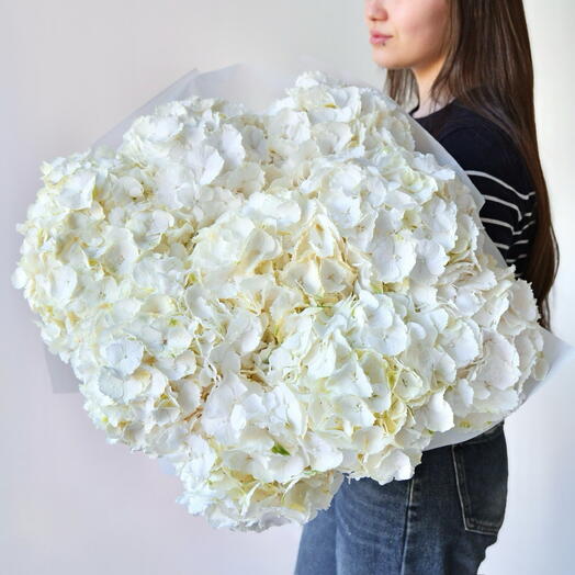 Ortensie bianche - 9