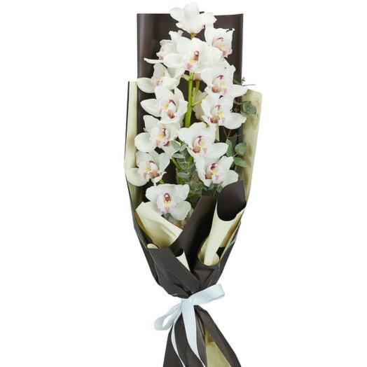 Mono of Orchids