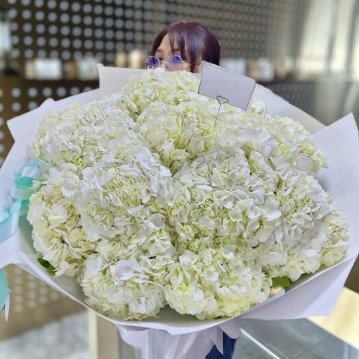 15 белых гортензии | 15 Hydrangeas