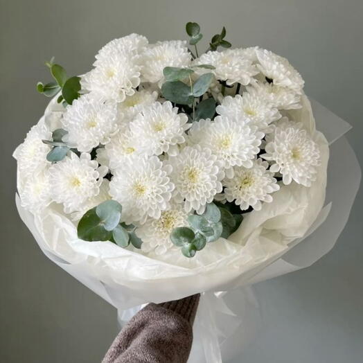 Нежное облако хризантемы Алтай с эвкалиптом