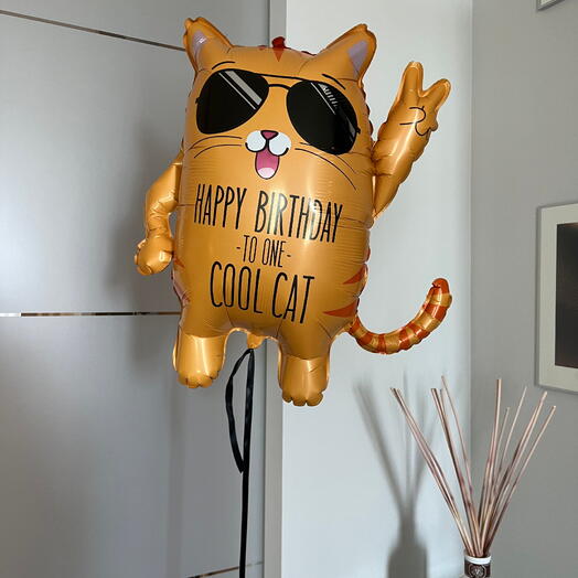 Cool Cat Figure