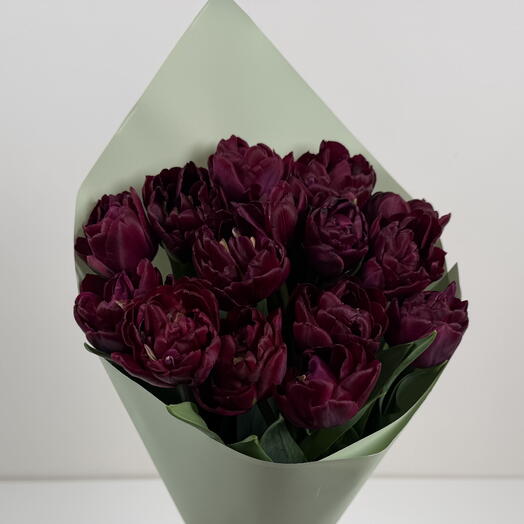 Tulips Bouquet Canyon