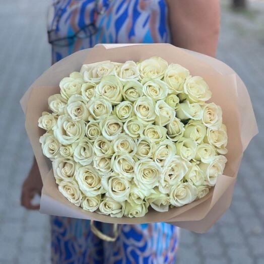 51 white rose (Snow storm) 50-60cm