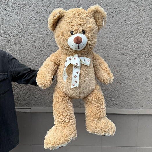 Orsetto marrone carino