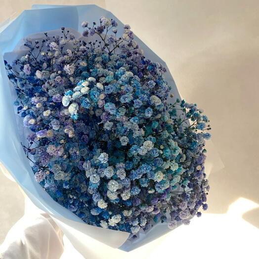 Gökkuşağı bebek nefesi buketi S