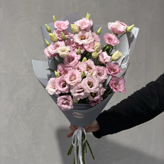 Pink eustoma 9