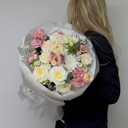 Tanacetum Candy Light, Eustoma size L