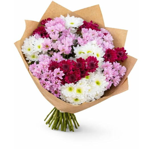 Chrysantemums mix in a craft package