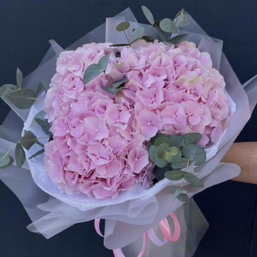 Hortensia