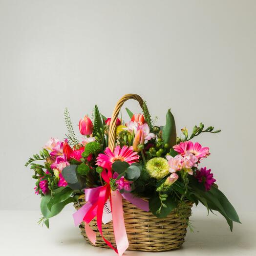 Absolute Harmony: Gerberas   Alstroemerias