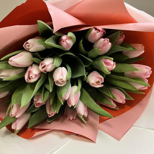 20  PINK TULIPS