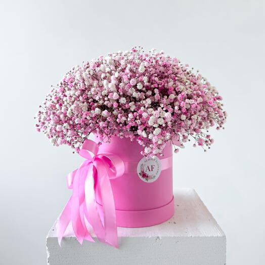 Pink gypsophila in a box