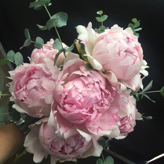 Peonies SPRING 2025